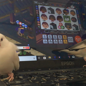 今日もドライヤーの画像