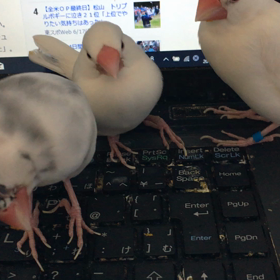 眠いの画像