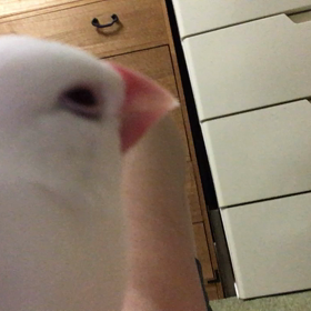 眠いの画像