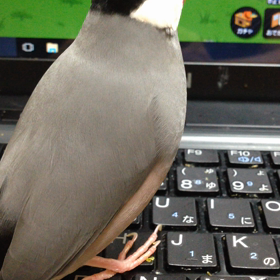3ヵ月の画像