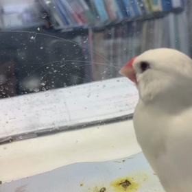 入院してましたの画像