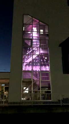 イルミネーションが点灯されました☆の記事動画