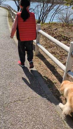 11歳の記事動画