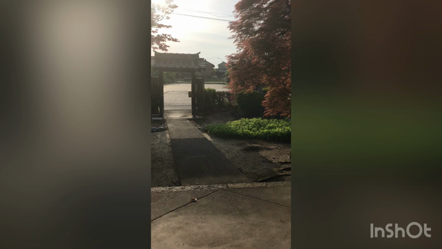 祖山寺ヨガ　ゴールデンウィークも休まずありますの記事動画