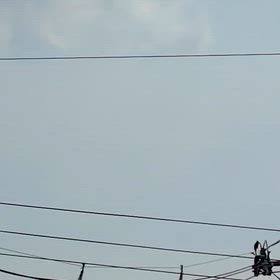 ぬぁんてこったいの画像