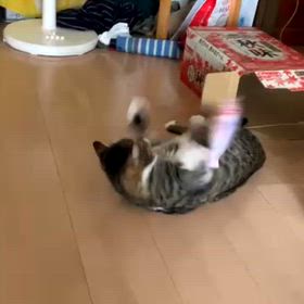 おばさんちでの思い出②の画像