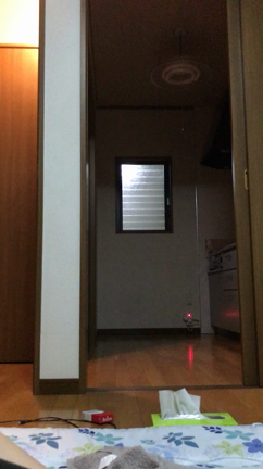 私が好きな旦那の動画の記事動画