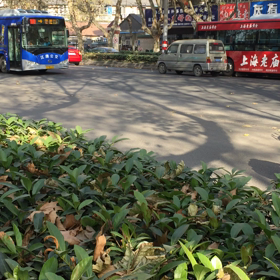 南京市街地の様子です。の画像