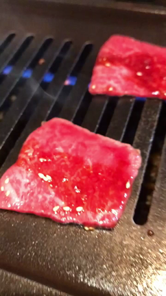 牛肉ざんまい^_^の記事動画
