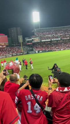 地域のソフトボール大会に参加の記事動画