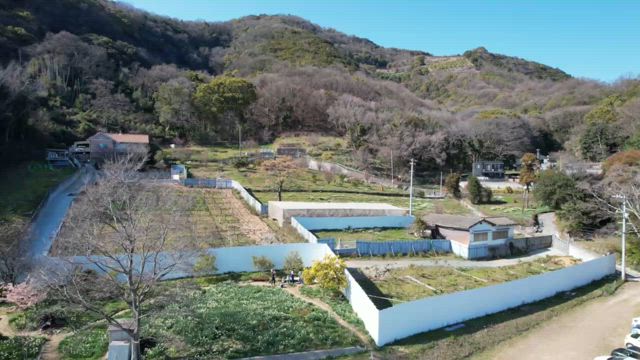 土日のいろいろの記事動画