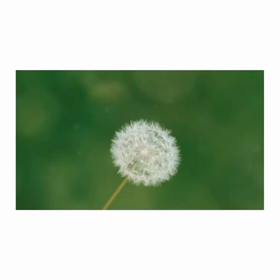 超お久しぶりのブログの画像