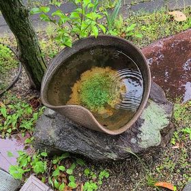 こんばんは。(4月30日)(4月最終日‼️)の画像