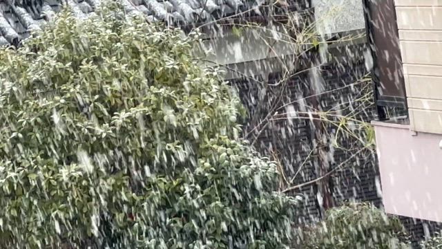 鹿児島も雪！の記事動画
