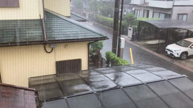 移りゆく季節の記事動画