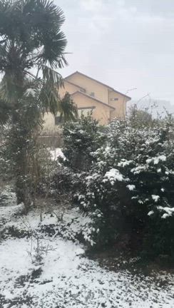 雪の朝の記事動画