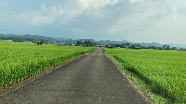 草刈りの怖さの記事動画