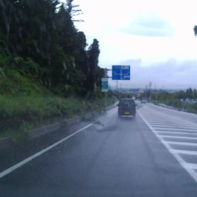 リスの画像