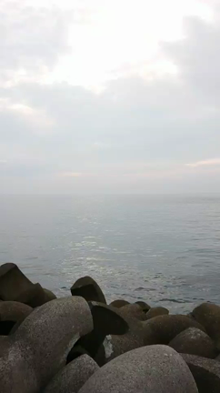 2019年8月21日@兵庫県 淡路島 佐野 新島の記事動画