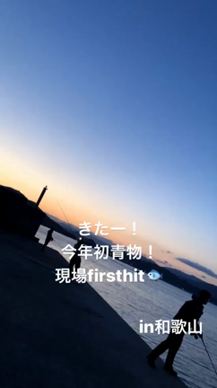 2019年4月9日@和歌山県 田ノ浦漁港の記事動画