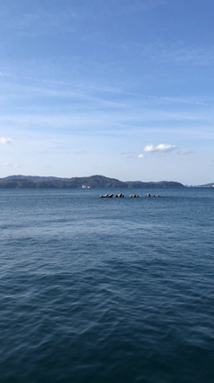 2019年4月9日@和歌山県 田ノ浦漁港の記事動画