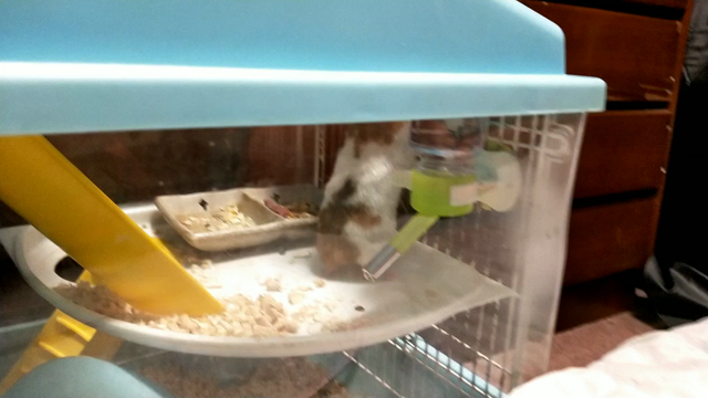 うさみの動画の記事動画