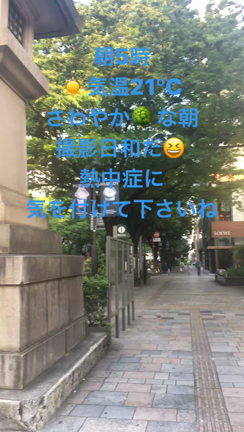 朝5時の表参道の記事動画