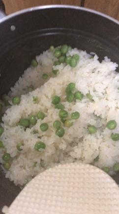 豆ご飯の記事動画