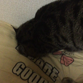 え？の画像