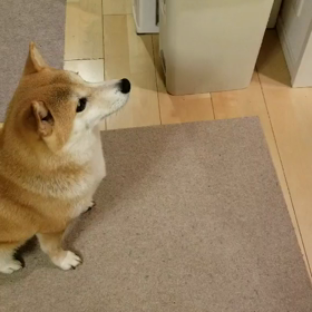 どっちが好み❔の画像