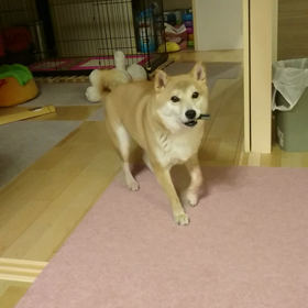 空振り❗の画像
