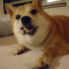 その顔‼️の画像