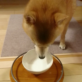 最近は❤️の画像