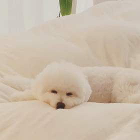 ■トツキトオカの朝の画像