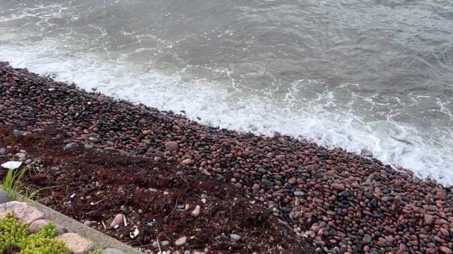 三国海浜公園から二ノ浜岸辺歩きの記事動画