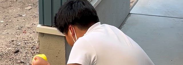 ⭐︎プランター栽培始めました⭐︎の記事動画
