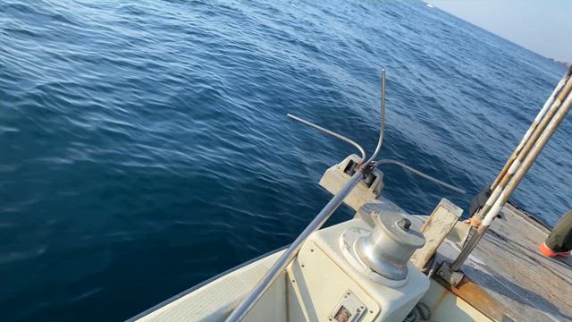 エキサイティングなの記事動画