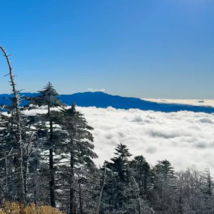 久しぶりに泣きそうになった雪山登山　-権現岳（雪）-の記事動画