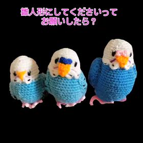 2026/03/03の画像