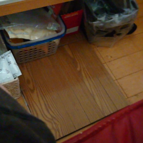 2022/06/27の画像