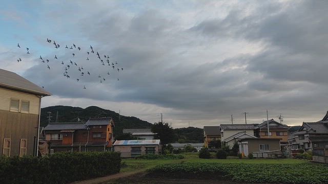 なんとなく！ヤマト魂！サンモニ離れ加速か？黄色いブロックは日本発！の記事動画