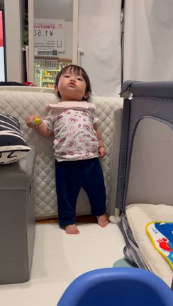我が家の癒しの記事動画