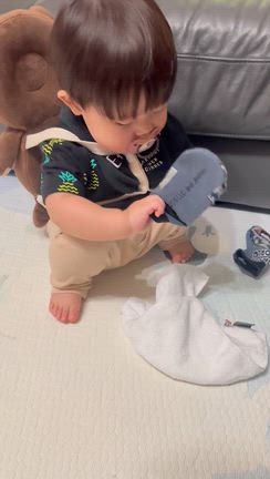 6月の予定の記事動画