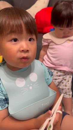 我が家の癒しの記事動画