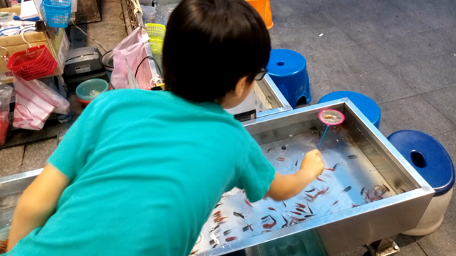 初動画投稿〜金魚すくいの記事動画