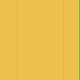 頭皮の老化は顔より早いの画像