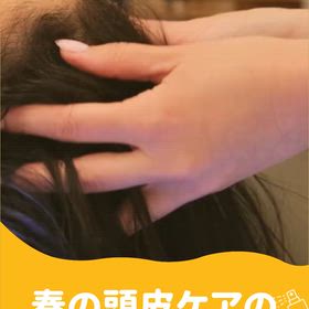 春の頭皮ケアのポイントの画像