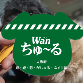 ワンちゅ～る♪の画像