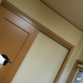 撮影成功( ´∀｀ )bの画像