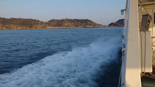 青島猫　青島へ向かってますの記事動画